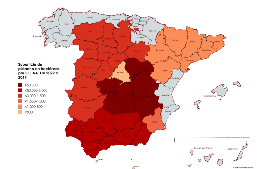 Evolución del cultivo de pistacho en España por hectáreas.