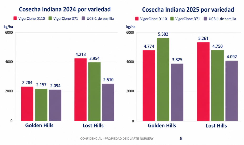 Producción de D110, D71 y UCB-1 de semilla con Golden Hills y Lost Hills en 2024 y 2025