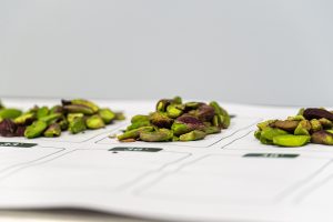 Análisis de pistacho en Víridi Application Lab