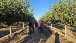 Plantación de pistacho en California