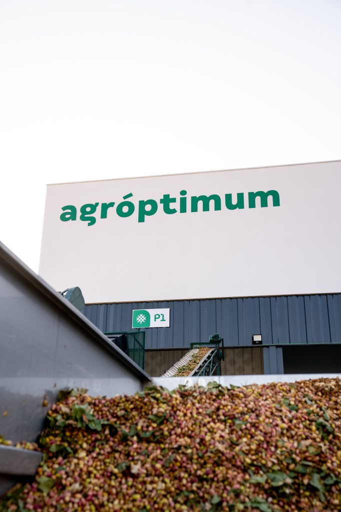 Pistachos recibidos en la planta de procesado de Agróptimum