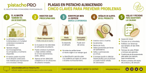 Infografía sobre prevención de plagas en pistacho almacenado